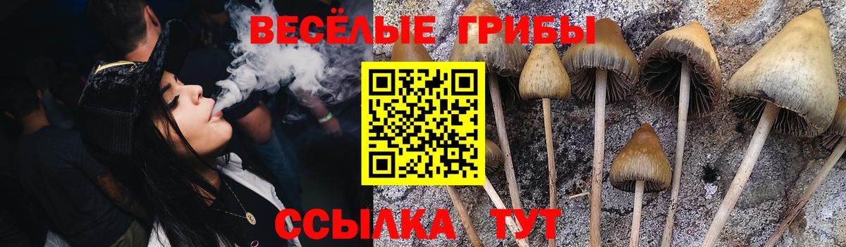 дарнет шоп  Галлюциногенные грибы прущие грибы  Вход с VPN  Орск  Галлюциногенные грибы Magic Shrooms 